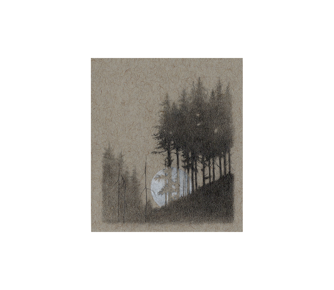 “Capitol Forest #2” - Kristen Etmund